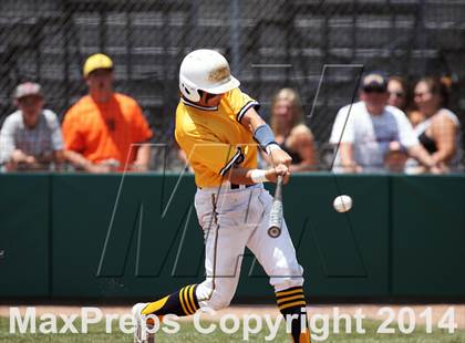 Thumbnail 2 in Alhambra vs. Tamalpais (CIF NCS D3 Final) photogallery.