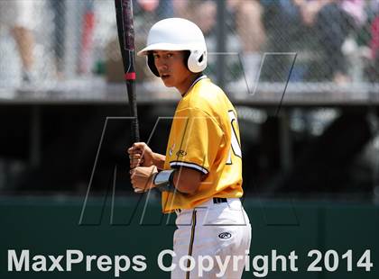 Thumbnail 2 in Alhambra vs. Tamalpais (CIF NCS D3 Final) photogallery.