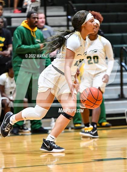 Thumbnail 2 in Parkway @ Captain Shreve photogallery.