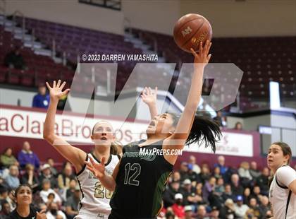 Thumbnail 1 in Archbishop Mitty vs. Pinewood (CIF CCS Open Division Final) photogallery.