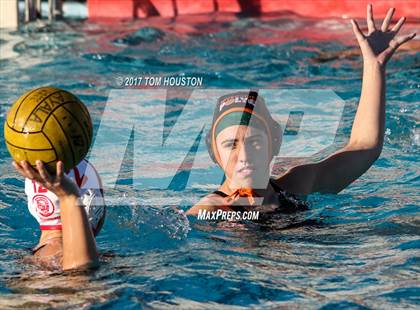 Thumbnail 2 in Poly vs Troy photogallery.