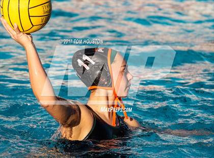 Thumbnail 3 in Poly vs Troy photogallery.