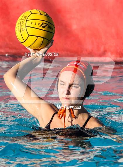 Thumbnail 3 in Poly vs Troy photogallery.