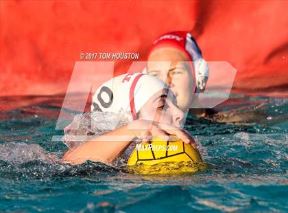 Thumbnail 2 in Poly vs Troy photogallery.