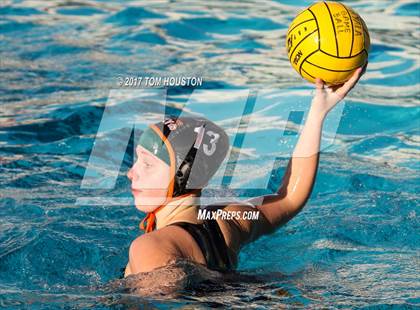 Thumbnail 3 in Poly vs Troy photogallery.