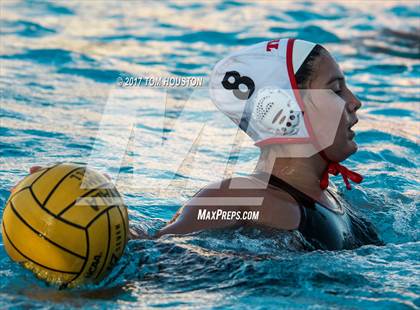 Thumbnail 3 in Poly vs Troy photogallery.