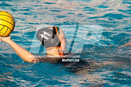 Thumbnail 3 in Poly vs Troy photogallery.