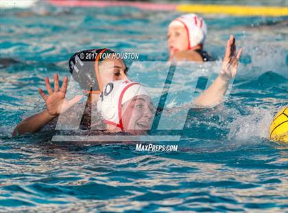 Thumbnail 3 in Poly vs Troy photogallery.