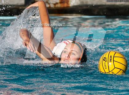 Thumbnail 1 in Poly vs Troy photogallery.