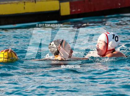 Thumbnail 1 in Poly vs Troy photogallery.