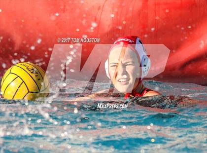 Thumbnail 2 in Poly vs Troy photogallery.