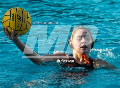 Thumbnail 1 in Poly vs Troy photogallery.