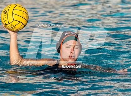 Thumbnail 1 in Poly vs Troy photogallery.