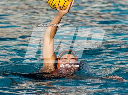 Thumbnail 2 in Poly vs Troy photogallery.