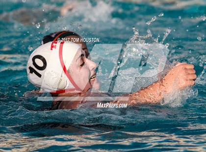 Thumbnail 1 in Poly vs Troy photogallery.