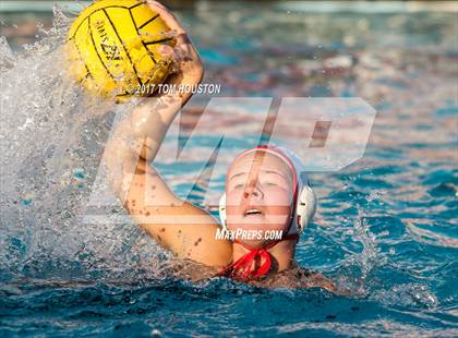 Thumbnail 2 in Poly vs Troy photogallery.