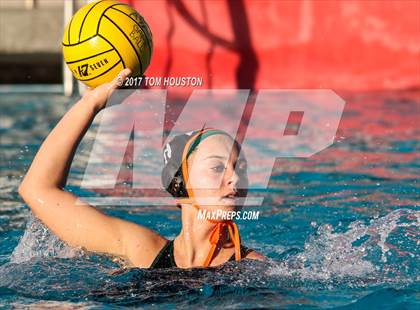 Thumbnail 2 in Poly vs Troy photogallery.