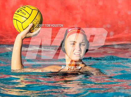 Thumbnail 3 in Poly vs Troy photogallery.