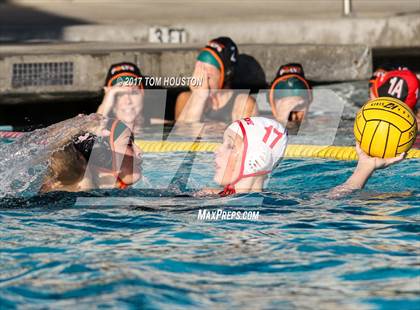 Thumbnail 2 in Poly vs Troy photogallery.