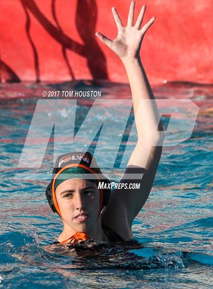 Thumbnail 1 in Poly vs Troy photogallery.