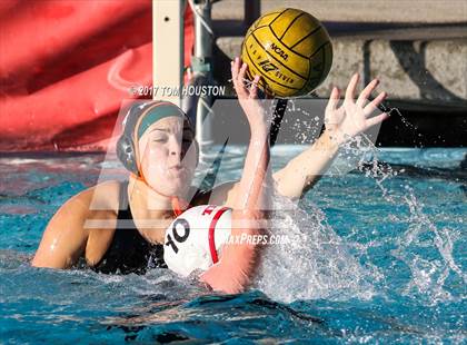 Thumbnail 3 in Poly vs Troy photogallery.