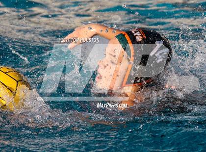 Thumbnail 2 in Poly vs Troy photogallery.