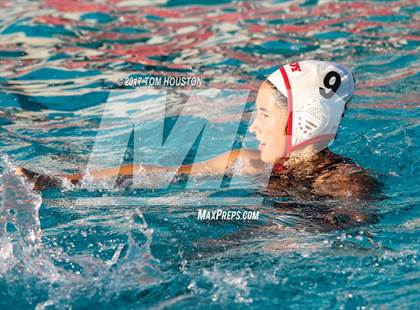 Thumbnail 1 in Poly vs Troy photogallery.