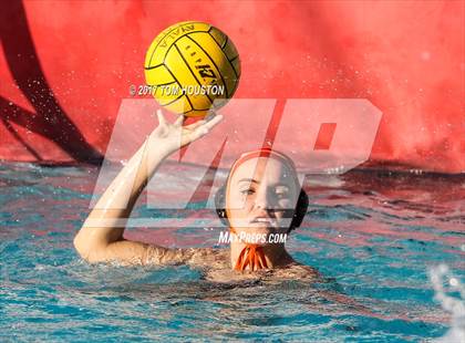 Thumbnail 2 in Poly vs Troy photogallery.