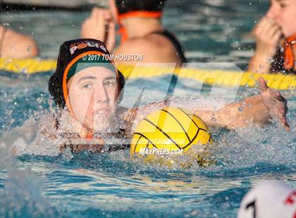 Thumbnail 1 in Poly vs Troy photogallery.