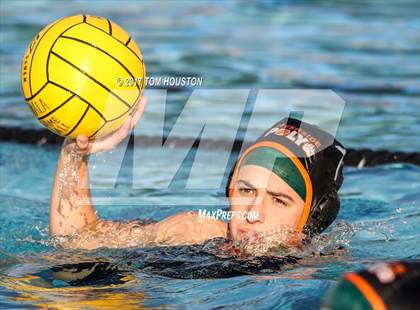 Thumbnail 2 in Poly vs Troy photogallery.