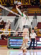 Photo from the gallery "Fossil Ridge @ Windsor"