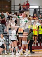 Photo from the gallery "Fossil Ridge @ Windsor"