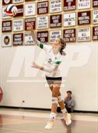 Photo from the gallery "Fossil Ridge @ Windsor"