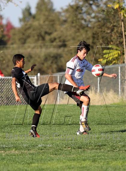 Thumbnail 3 in Bella Vista vs McNair (CIF SJS D2 Semifinal) photogallery.