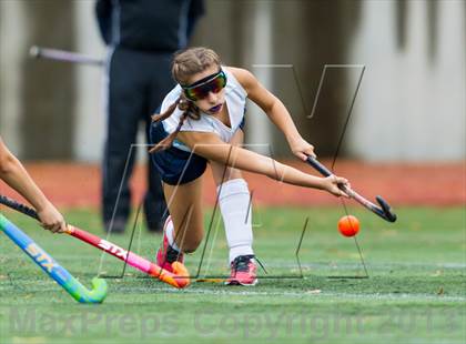Thumbnail 3 in Hayfield @ Yorktown photogallery.