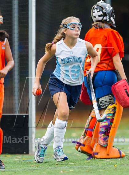 Thumbnail 2 in Hayfield @ Yorktown photogallery.