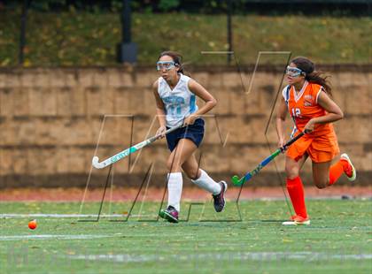Thumbnail 2 in Hayfield @ Yorktown photogallery.