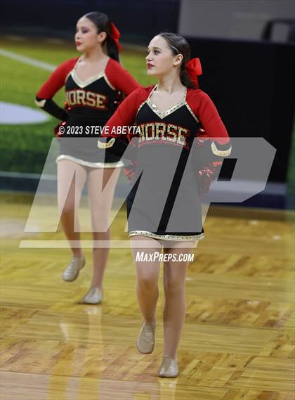 Thumbnail 2 in Northglenn CHSAA Spirit Poms photogallery.