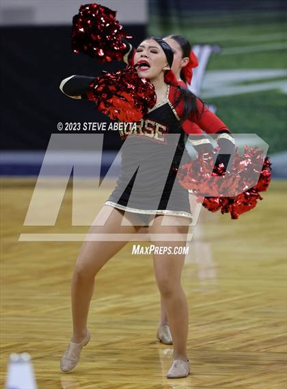 Thumbnail 2 in Northglenn CHSAA Spirit Poms photogallery.