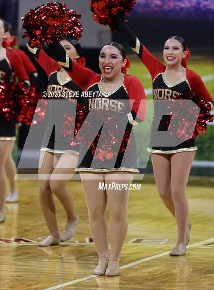 Thumbnail 2 in Northglenn CHSAA Spirit Poms photogallery.