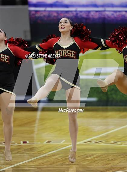 Thumbnail 2 in Northglenn CHSAA Spirit Poms photogallery.