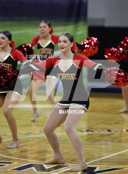 Thumbnail 3 in Northglenn CHSAA Spirit Poms photogallery.