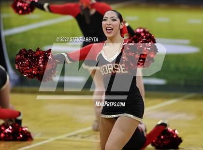 Thumbnail 1 in Northglenn CHSAA Spirit Poms photogallery.