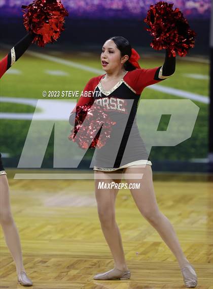 Thumbnail 1 in Northglenn CHSAA Spirit Poms photogallery.