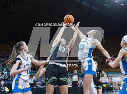 Thumbnail 1 in Timnath vs Delta (CHSAA 4A Semifinal) photogallery.