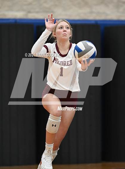Thumbnail 1 in Fairfield vs. Troy (UIL 3A Bi-District) photogallery.
