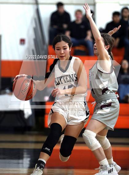 Thumbnail 1 in Moulton vs Industrial (Schulenburg Lady Horn Varsity Tournament) photogallery.