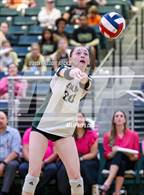 Photo from the gallery "Plano East @ Prosper"