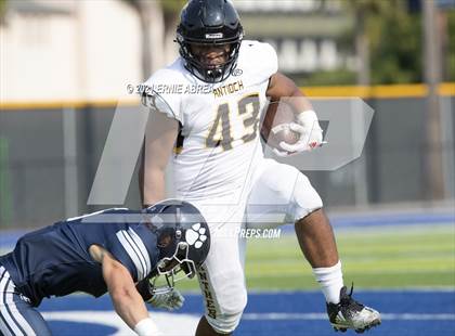 Thumbnail 3 in Antioch @ Marin Catholic photogallery.