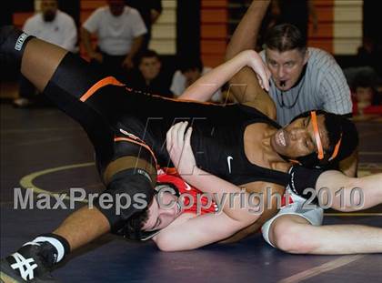 Thumbnail 1 in Antelope @ Foothill photogallery.